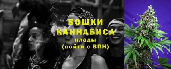 дживик Аркадак