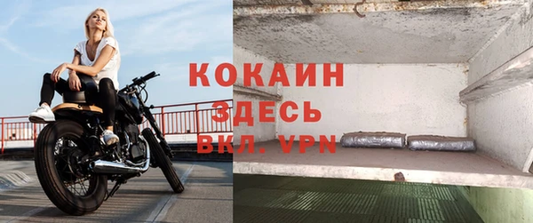 дживик Аркадак