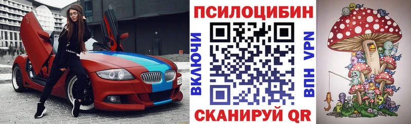 цена наркотик  Полевской  Псилоцибиновые грибы мицелий 